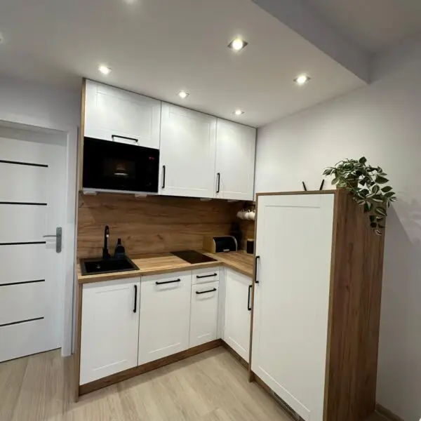 Apartament nad morzem w Rowach